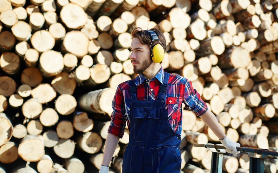 Top 10 Characteristics of Good Quality Lumber (Part 2)