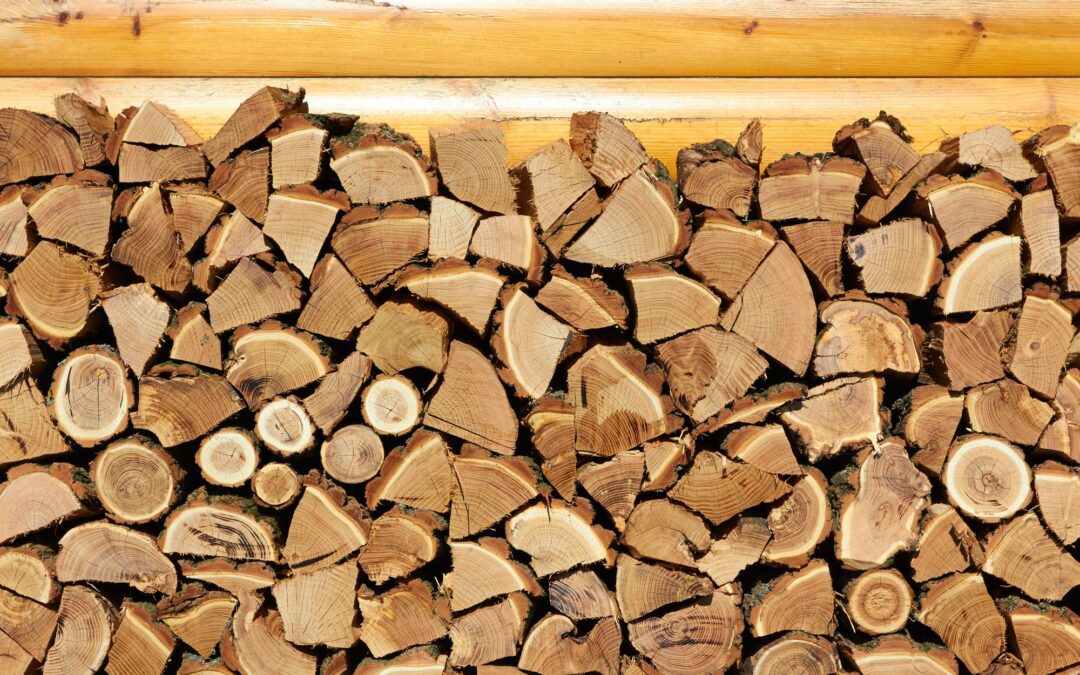 4 Proven Ways to Check Whether Your Firewood is Dry Or Not