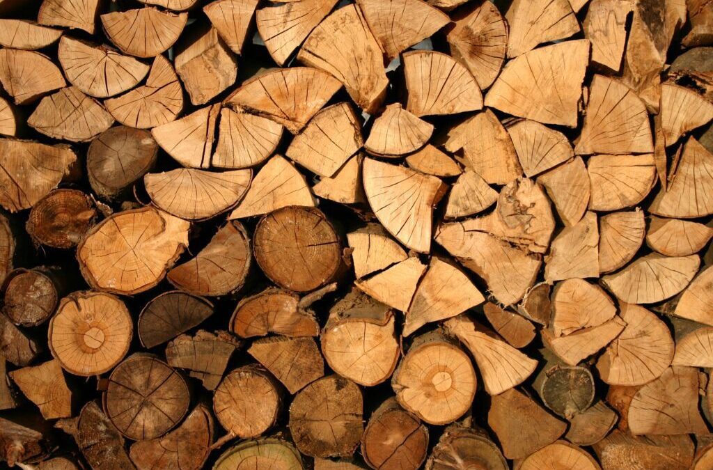 What Are The Different Types of Firewood and What Are Their Characteristics?