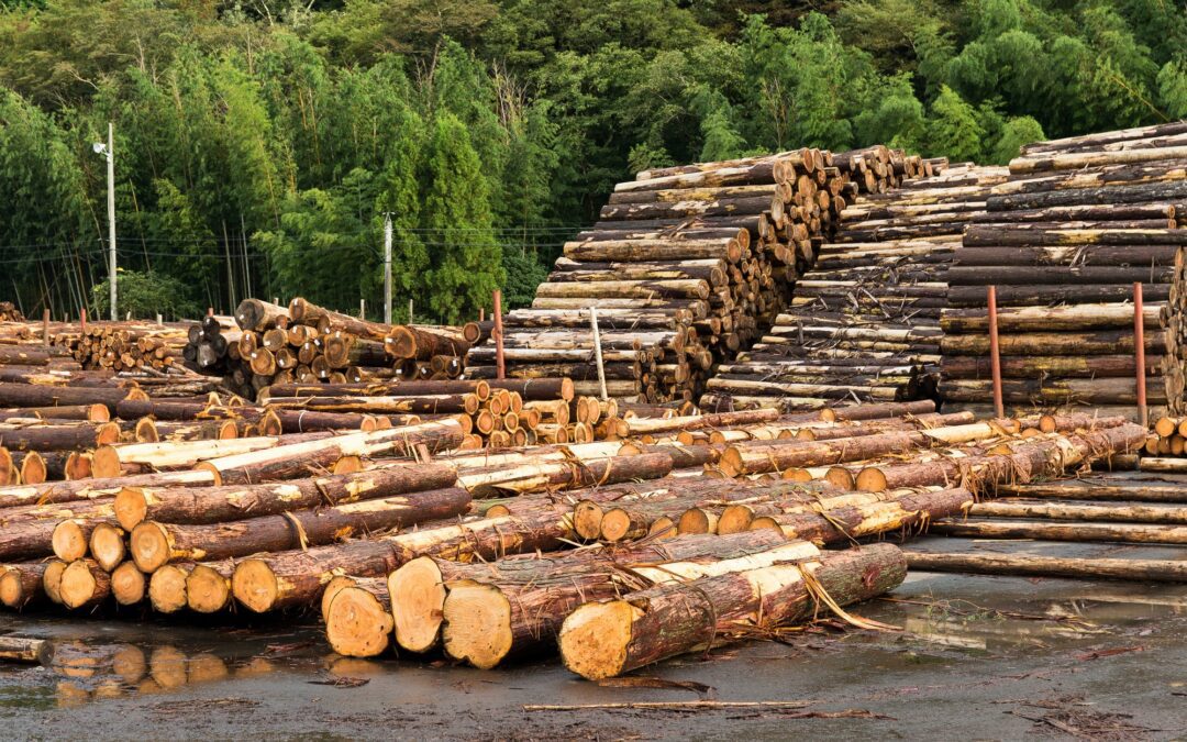 How to Extend The Life of Products Made from Lumber?