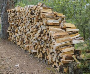 seasoned firewood stacked against tree